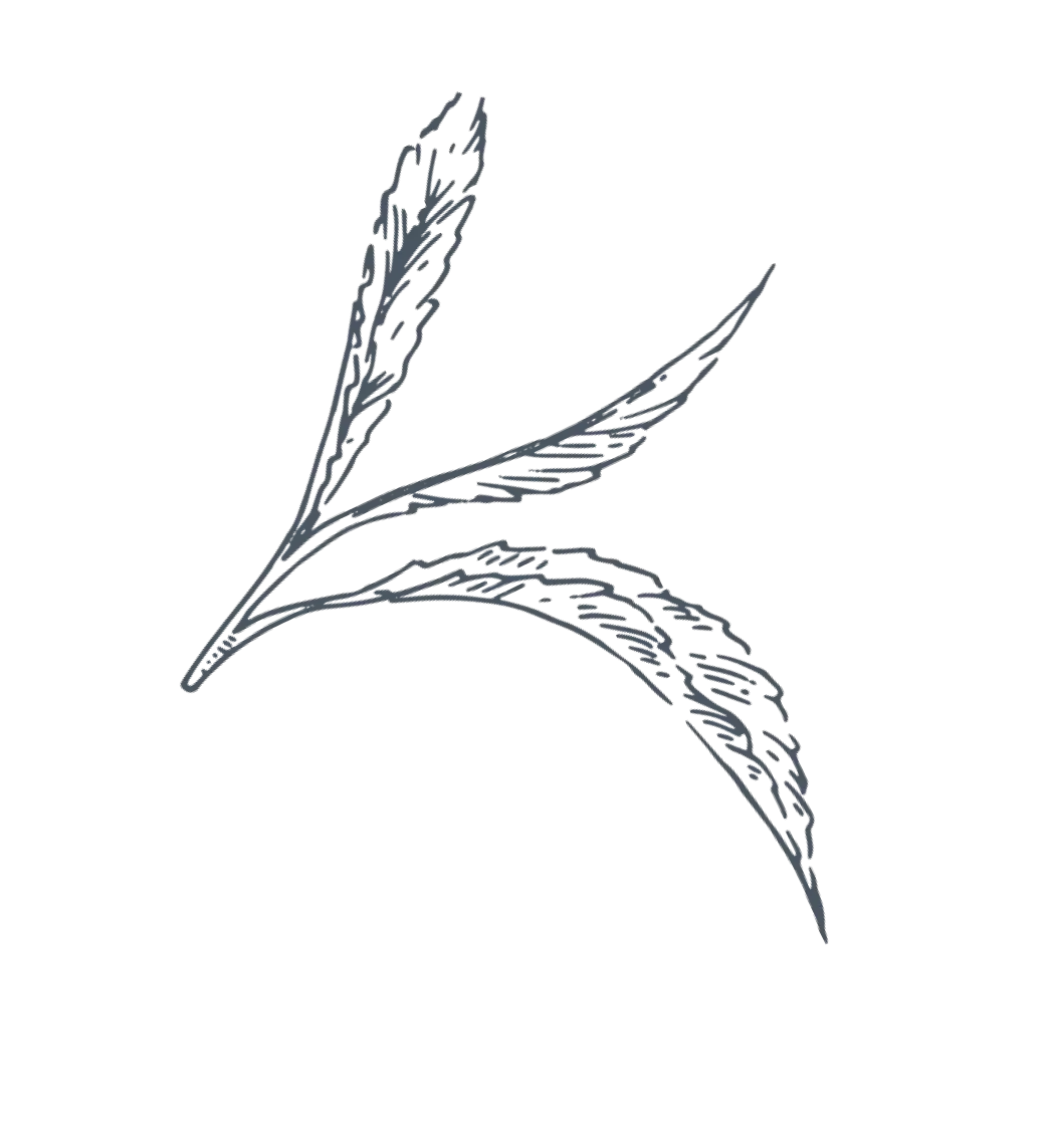 Decorative Ceylon tea leaf